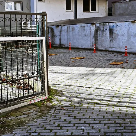 Sani Free Parking *